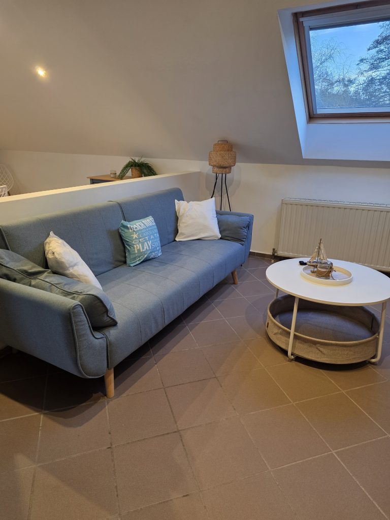 Graues Schlafsofa im Wohnzimmer mit Couchtisch